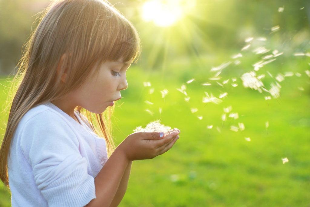 little girl blowing dandelions outside at a Preschool & Childcare Serving Salt Lake City, UT